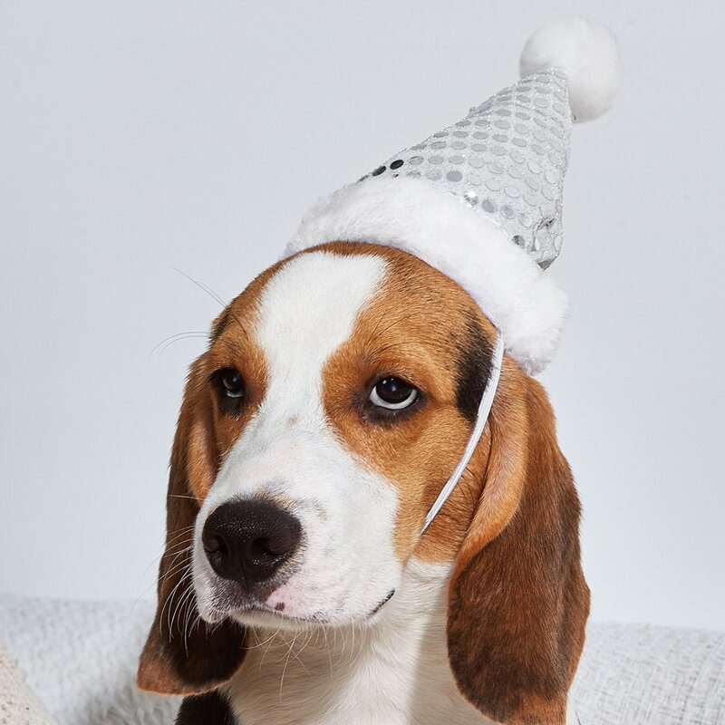 

Sequin Decor Christmas Dog Hat, White