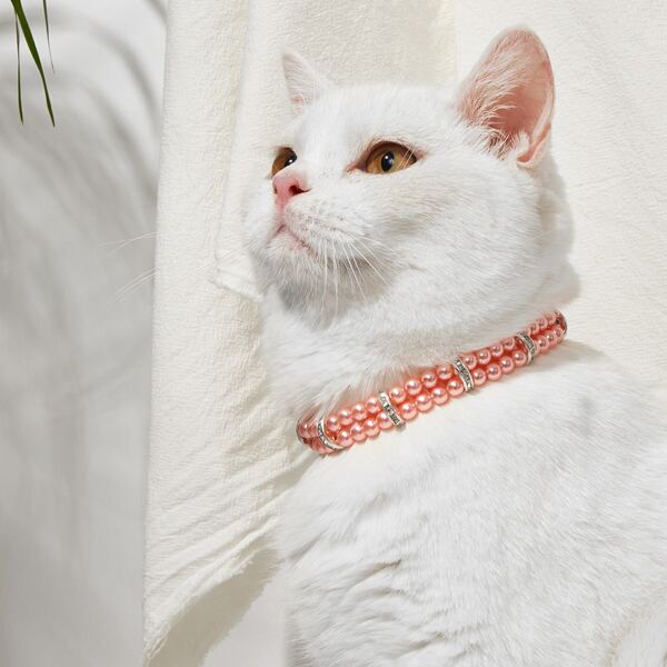 

Faux Pearl Necklace Cat Collar, Pink