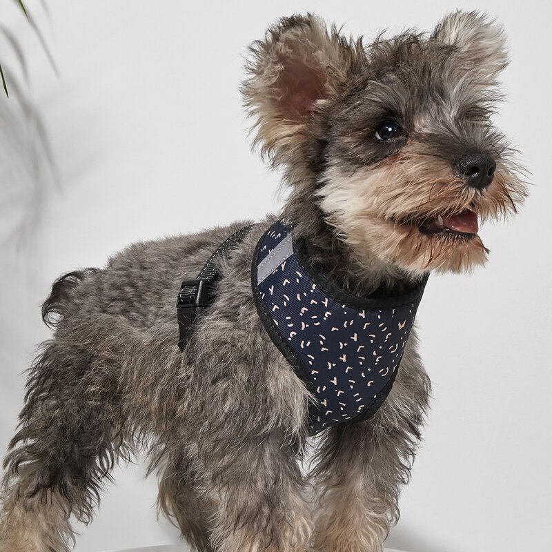 

Graphic Print Dog Harness, Multicolor