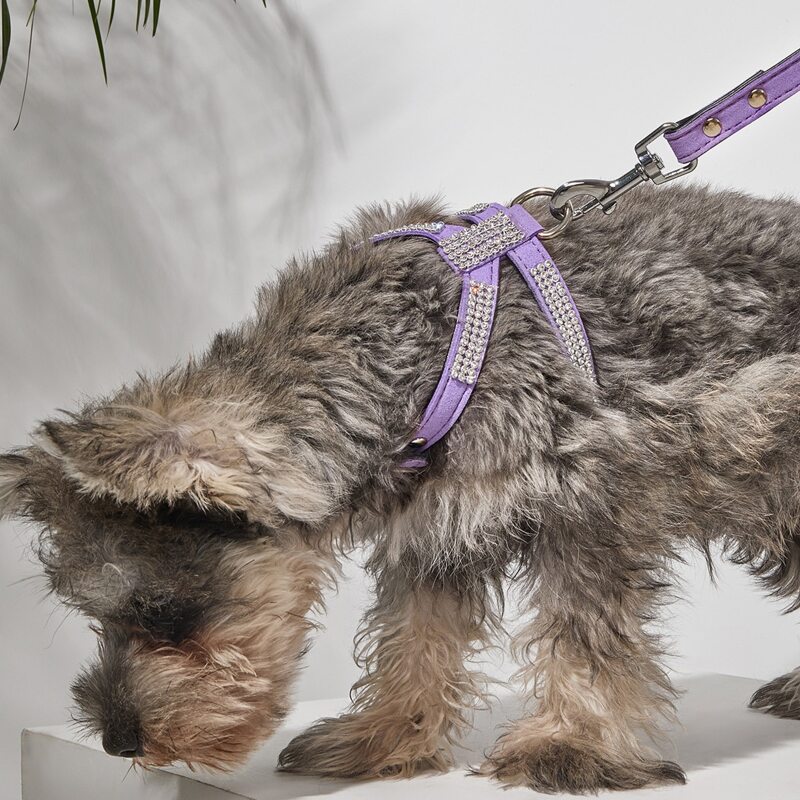 

1pc Rhinestone Decor Dog Harness & 1pc Leash, Purple