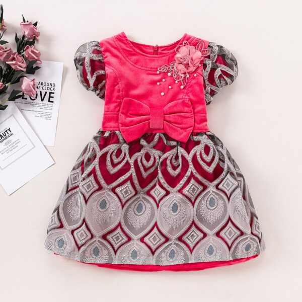 

Girls Appliques Bow Front Feather Embroidery Dress, Multicolor