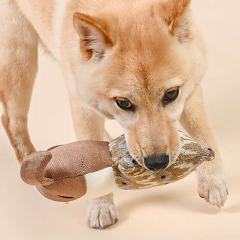 

Cartoon Design Dog Sound Toy, Brown
