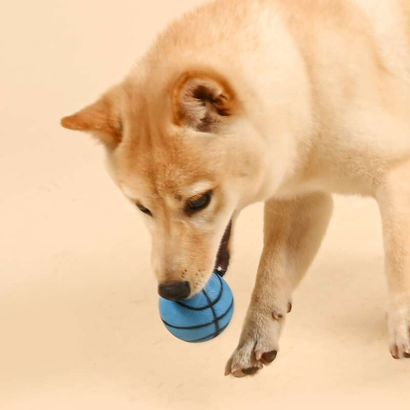 

Basketball Shaped Dog Toy, Blue