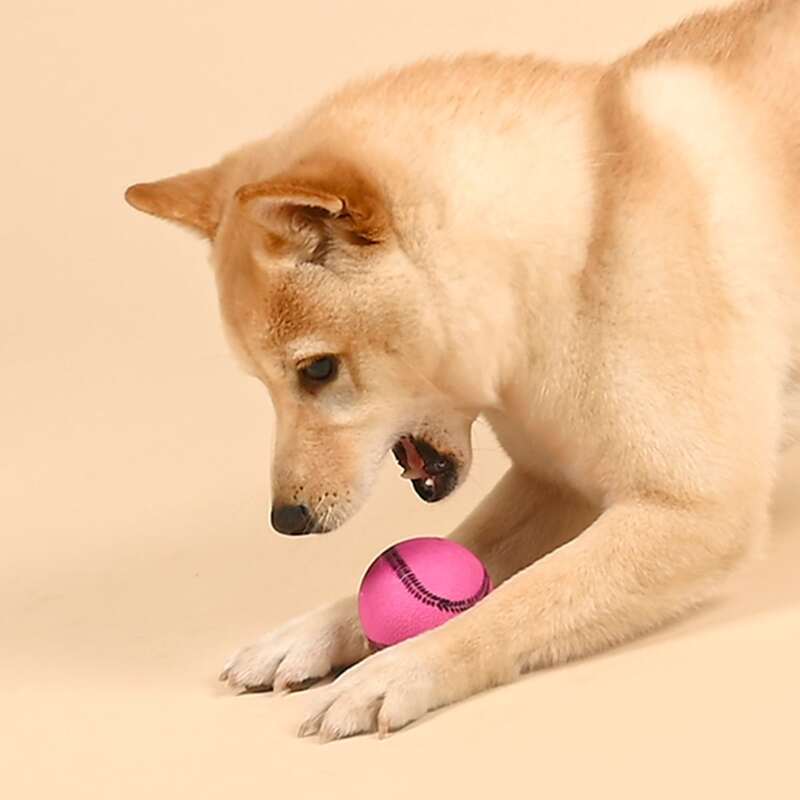 

Softball Shaped Dog Toy, Hot pink