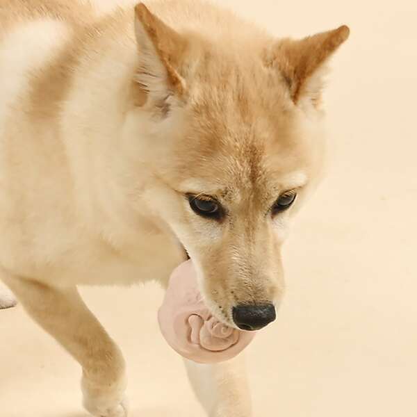 

Solid Ball Dog Toy, Baby pink