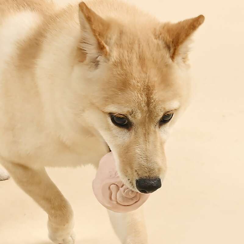 

Solid Ball Dog Toy, Baby pink
