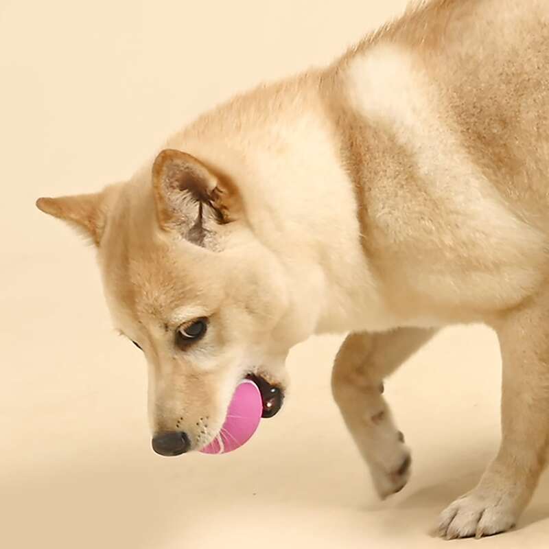 

Tennis Ball Shaped Dog Toy, Hot pink