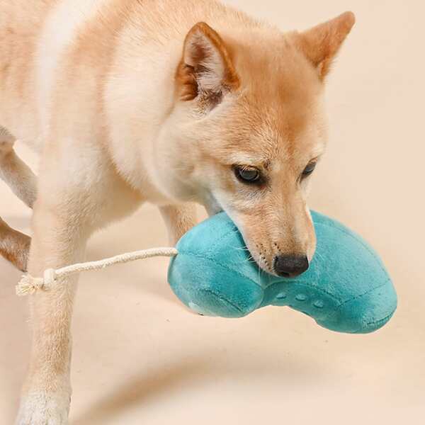 

Telephone Design Dog Sound Toy, Blue
