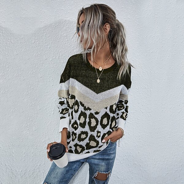 

Graphic Print Colorblock Drop Shoulder Sweater, Multicolor