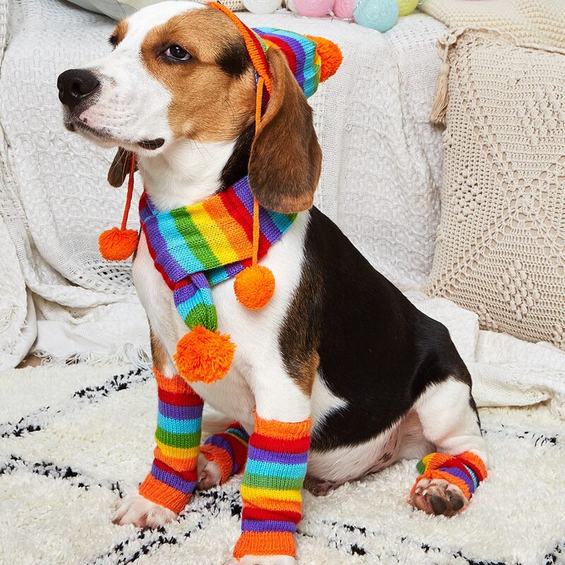 

1pc Rainbow Striped Dog Hat & 1pc Dog Scarf & 4pcs Dog Leg Warmer, Multicolor