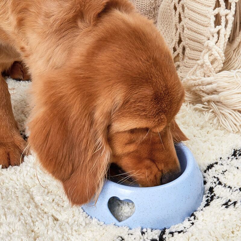 

1pc Random Color Heart Design Dog Bowl, Multicolor