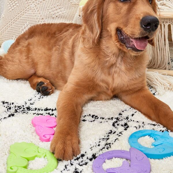 

1pc Random Color Dog Toy, Multicolor