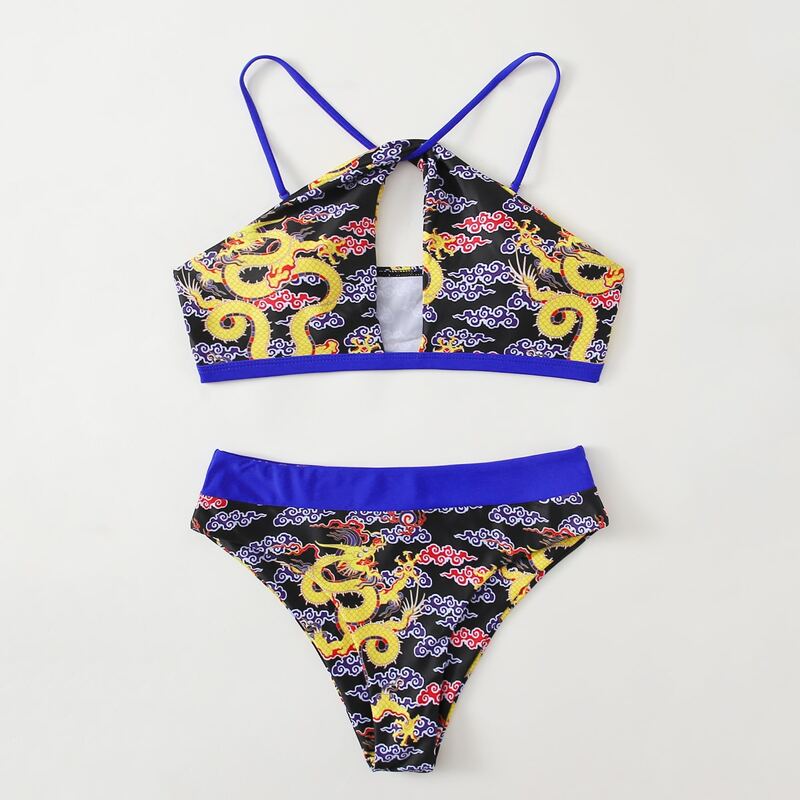 

Dragon Print Cut-out Bikini Swimsuit, Multicolor