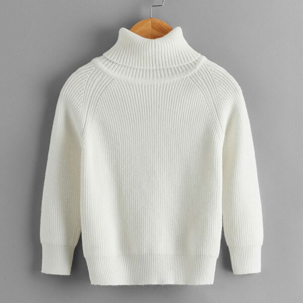 

Toddler Girls Solid Turtleneck Ribbed Knit Sweater, White