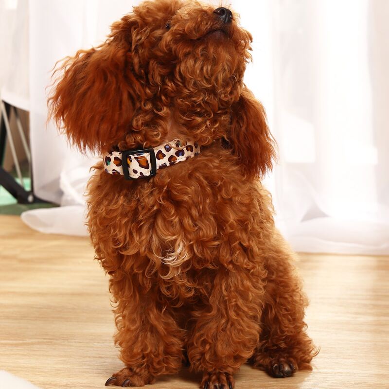 

1pc Leopard Print Dog Collar, Multicolor