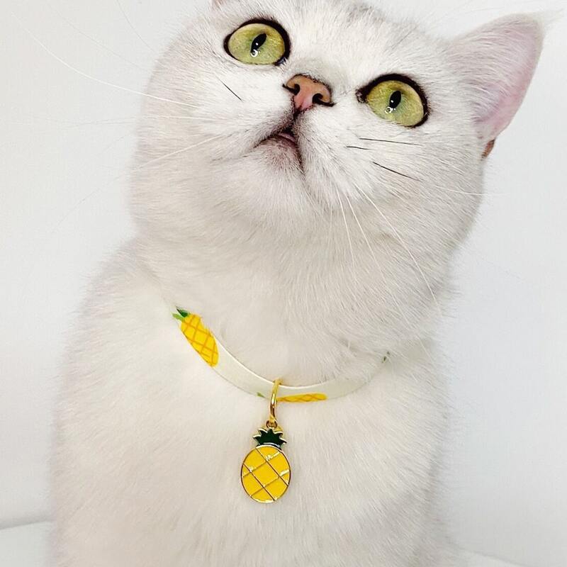

Pineapple Pendant Cat Necklace, Multicolor