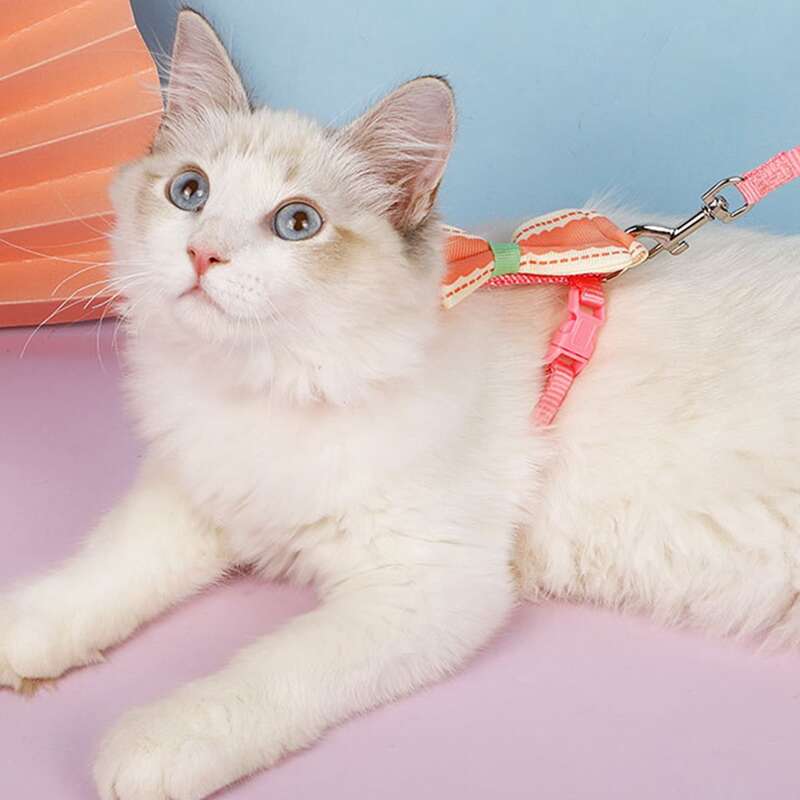 

1pc Bow Decor Cat Harness & 1pc Cat Leash, Pink