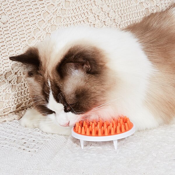 

Two Tone Cat Grooming Brush, Orange