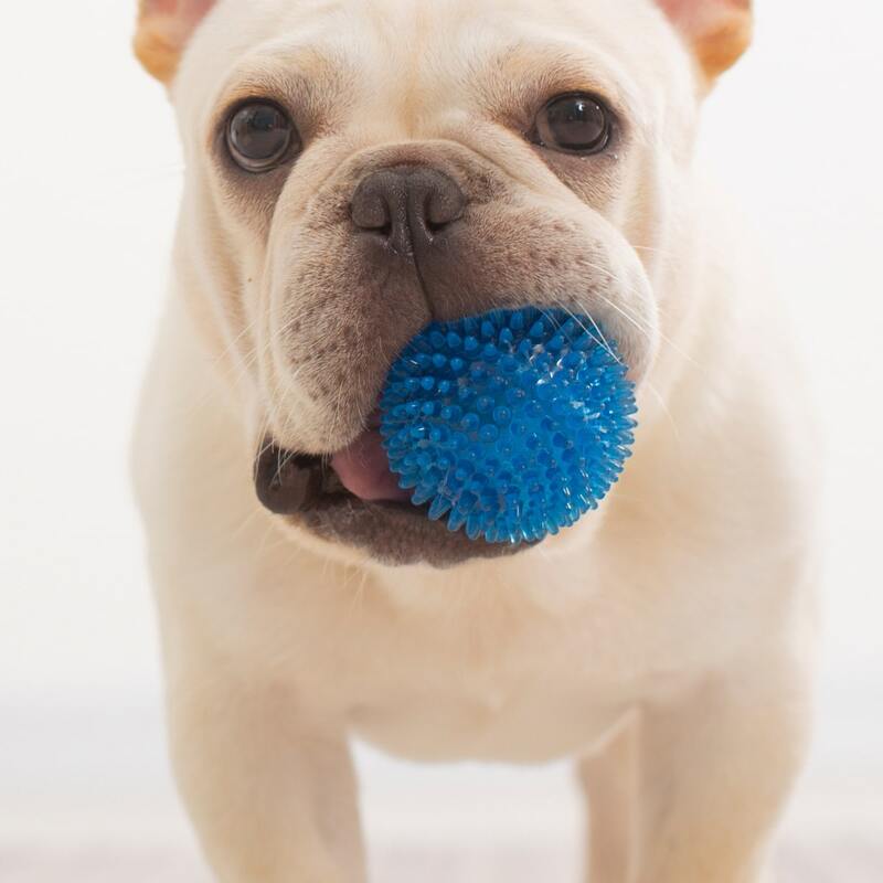 

Dog Sound Toy Ball, Blue