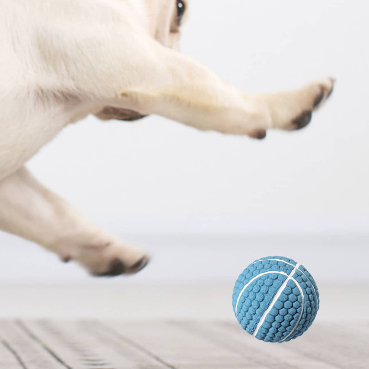 

Dog Sound Toy Ball, Dusty blue