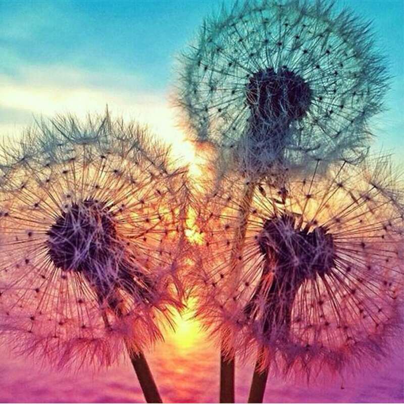 

Dandelion Print DIY Diamond Painting Without Frame, Multicolor