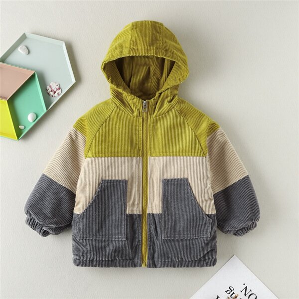 

Toddler Boys Colorblock Thermal Lined Raglan Sleeve Corduroy Hooded Coat, Multicolor
