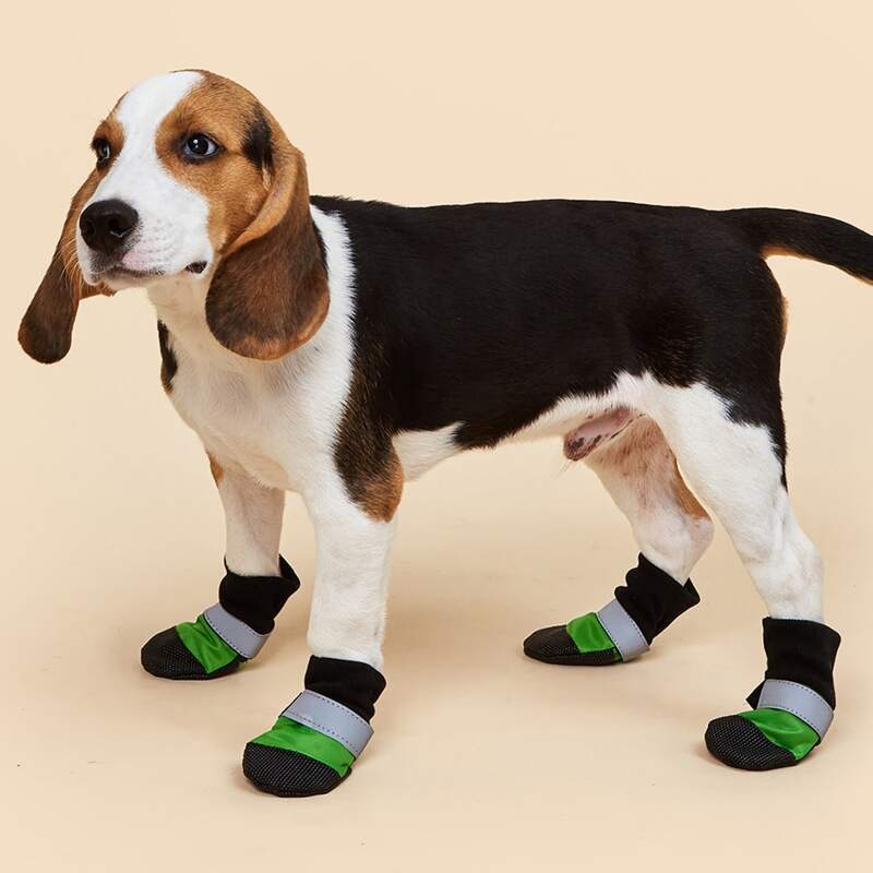

4pcs Colorblock Dog Shoes, Green