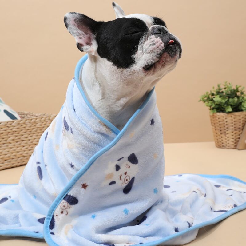 

Cartoon Graphic Dog Blanket, Blue
