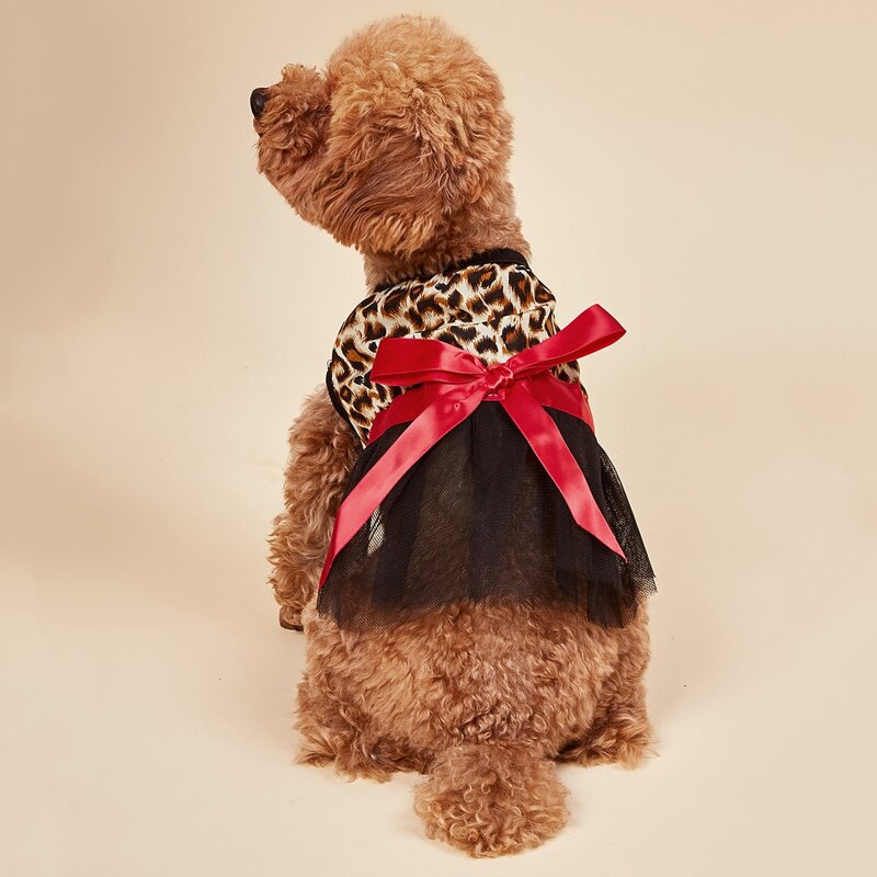 

Leopard Print Contrast Mesh Dog Dress, Multicolor