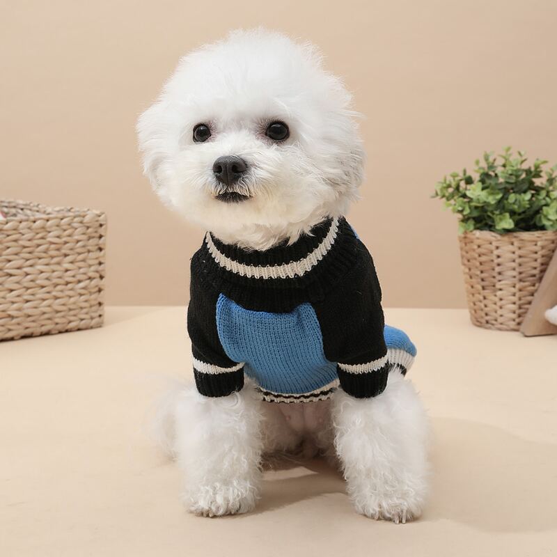 

Color Block Dog Sweater, Blue