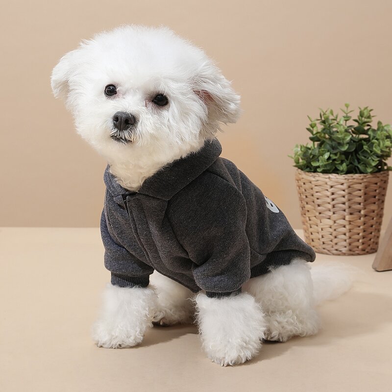 

Slogan Graphic Dog Hoodie, Grey