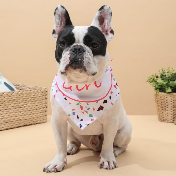 

Birthday Slogan Graphic Dog Bandana, Multicolor