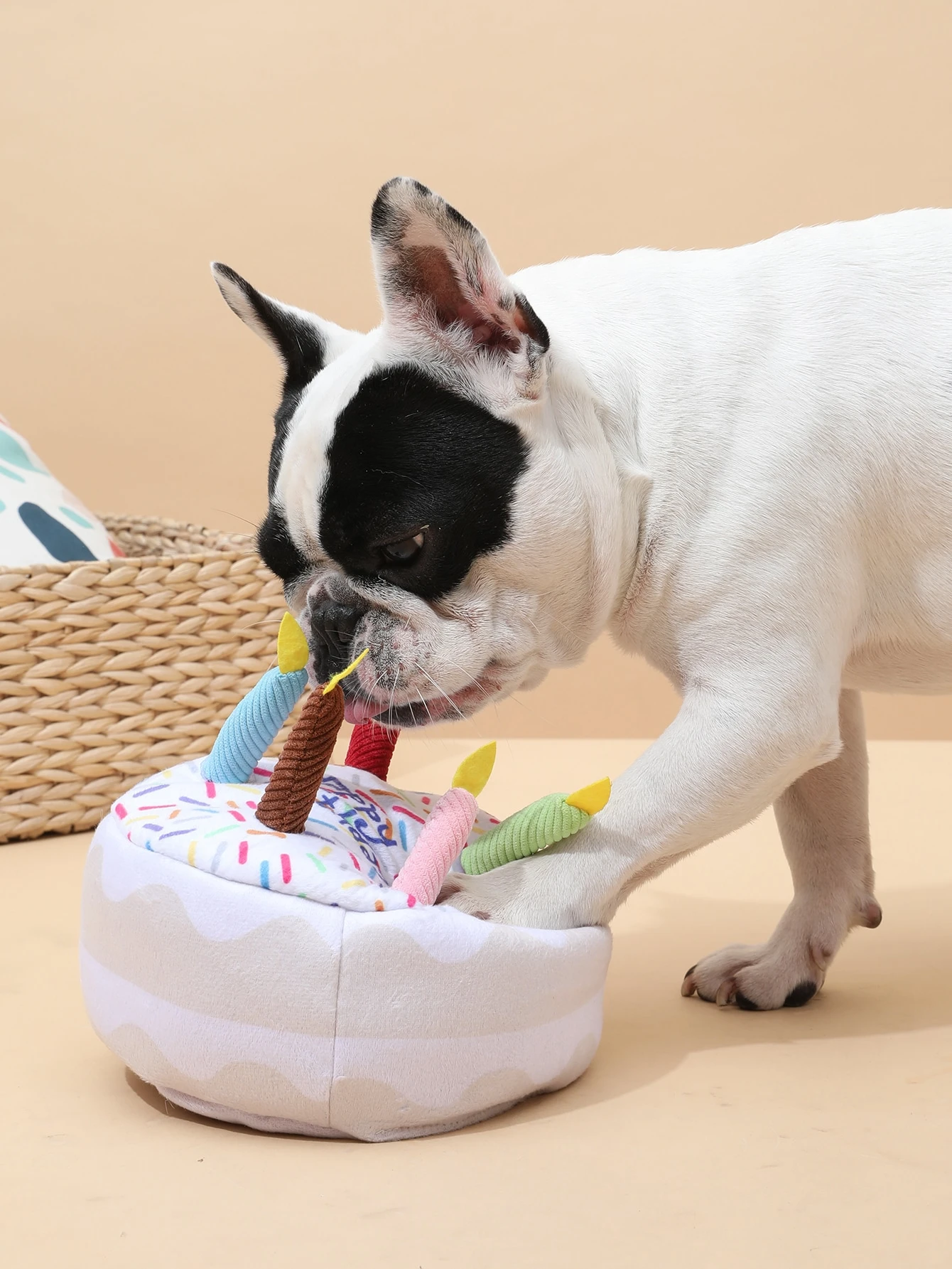 Jouet Pour Chien En Forme De Gateau D Anniversaire Shein