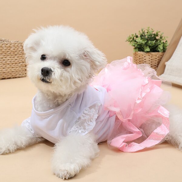 

Cartoon Graphic Contrast Mesh Dog Dress, Pink