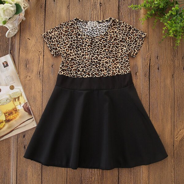 

Toddler Girls Leopard Panel A-line Dress, Multicolor