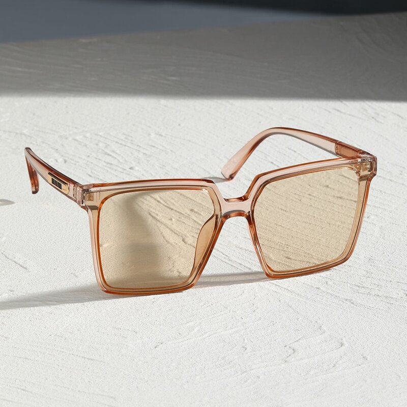 

Clear Frame Tinted Lens Sunglasses