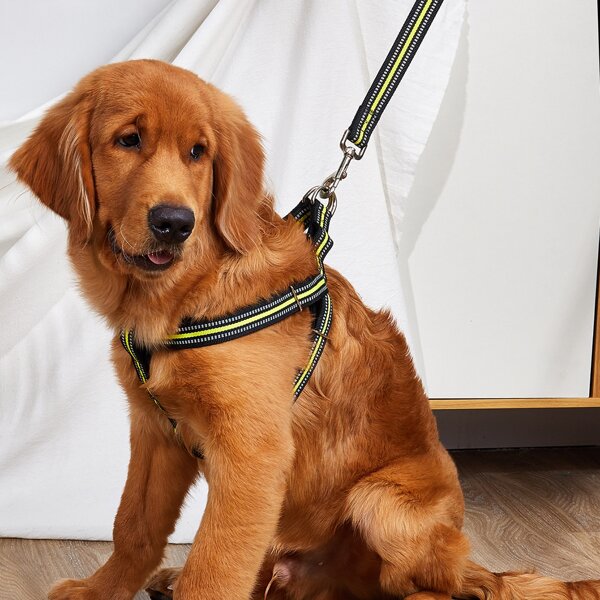 

1pc Reflective Stripe Dog Harness & 1pc Dog Leash, Multicolor