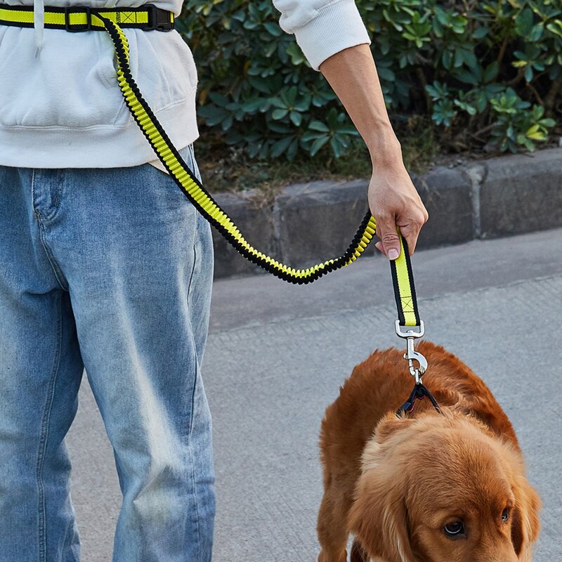 

1pc Dog Outdoor Leash With Adult Belt, Yellow