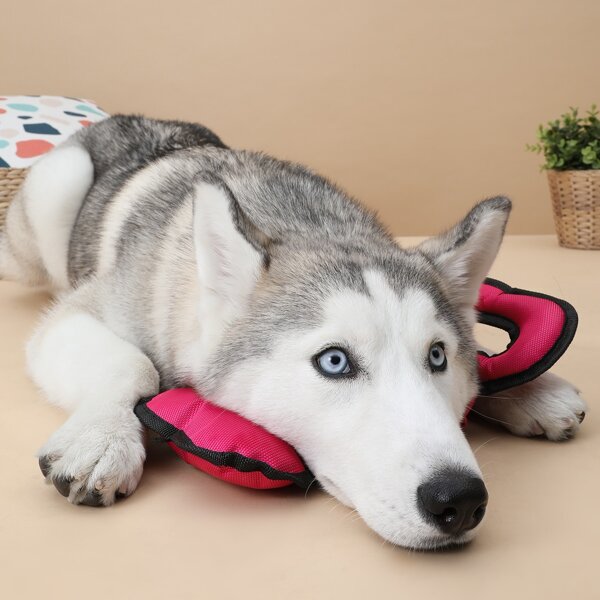 

Bone Shaped Dog Toy, Hot pink