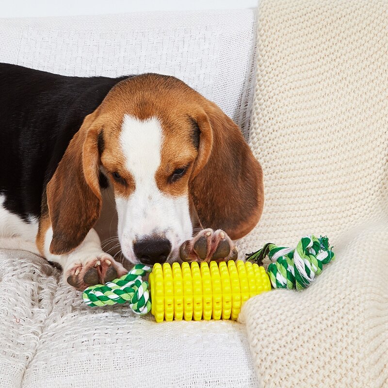 

Corn Design Dog Chew Toy, Multicolor