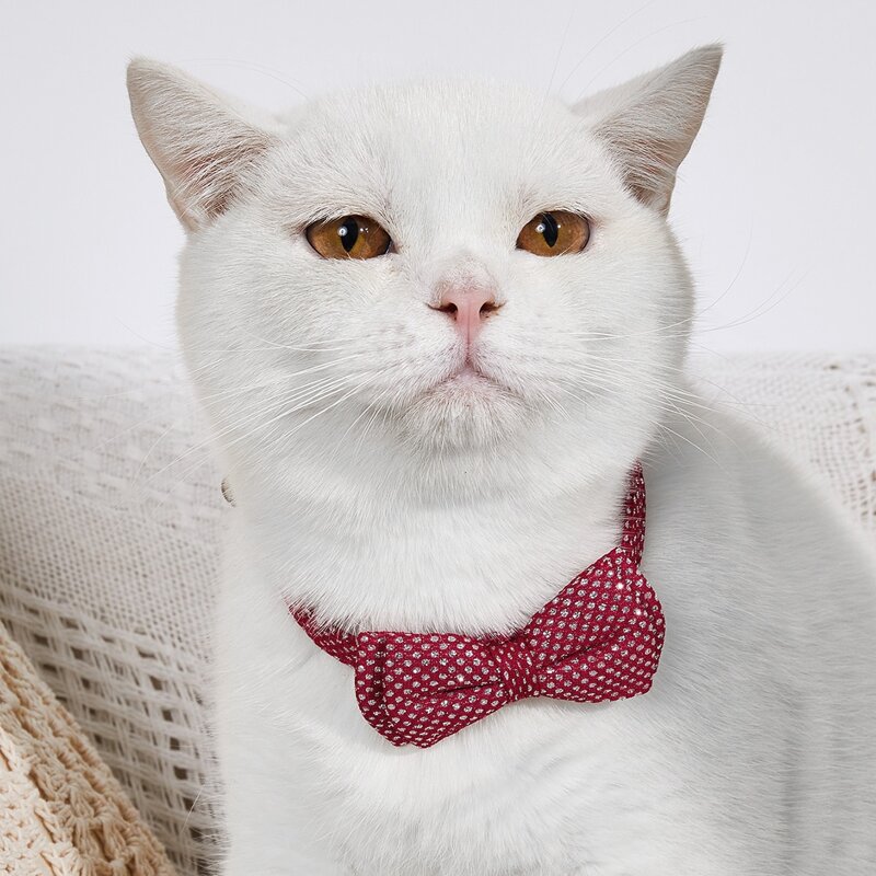 

Bow Decor Cat Collar, Red