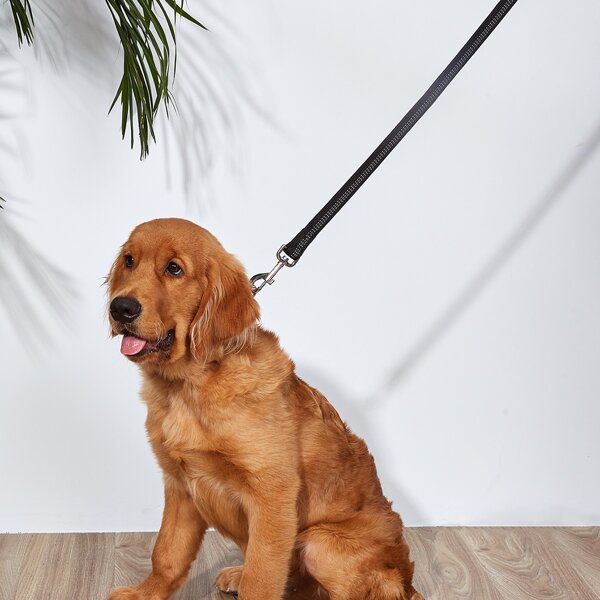 

Striped Dog Leash, Black