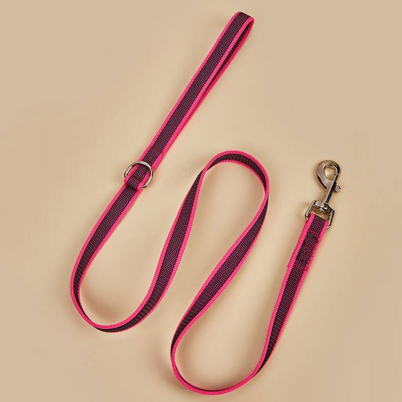 

Colorblock Dog Leash, Hot pink