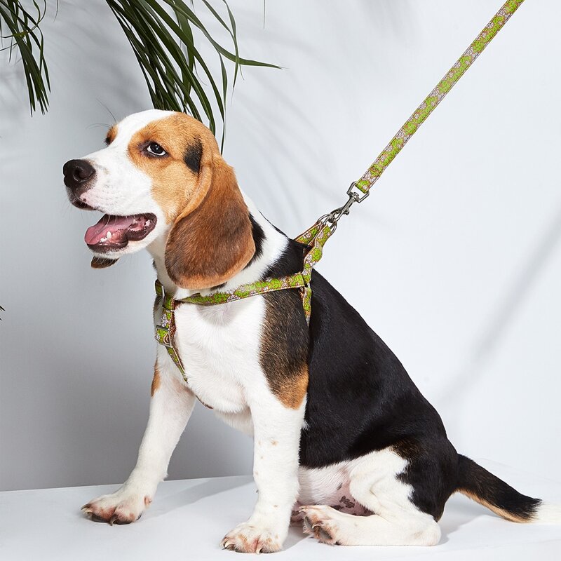 

1pc Floral Dog Harness & 1pc Dog Leash, Multicolor