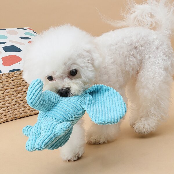 

Solid Elephant Design Dog Sound Toy, Blue