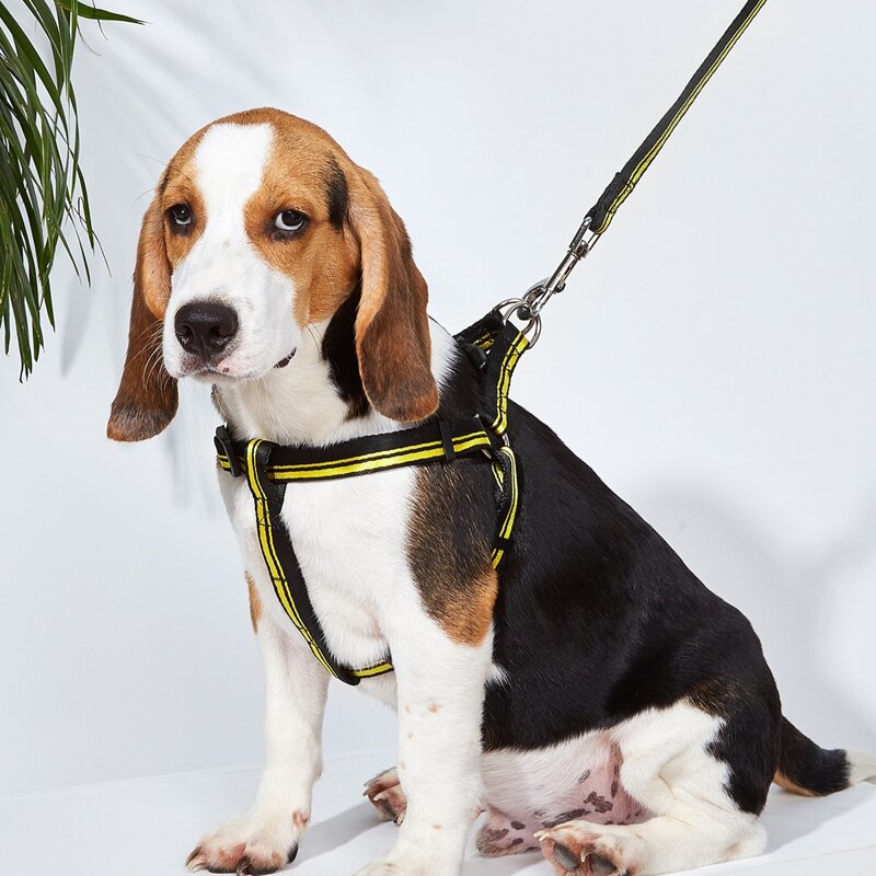 

1pc Striped Dog Harness & 1pc Dog Leash, Multicolor