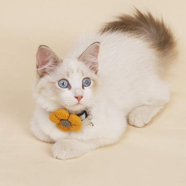 

Flower & Bell Decor Cat Collar, Yellow