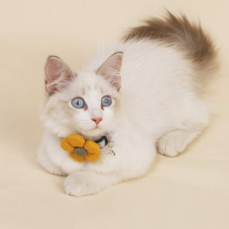 

Flower & Bell Decor Cat Collar, Yellow