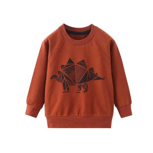 

Toddler Boys Cartoon Dinosaur Print Sweatshirt, Rust brown