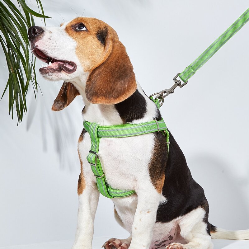 

1pc Striped Dog Harness & 1pc Dog Leash, Green
